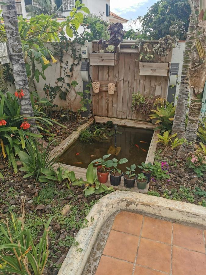 サンタ・ウルスラJardin44アパートメント エクステリア 写真